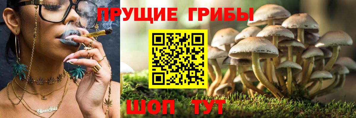 Галлюциногенные грибы MAGIC MUSHROOMS Ярославль