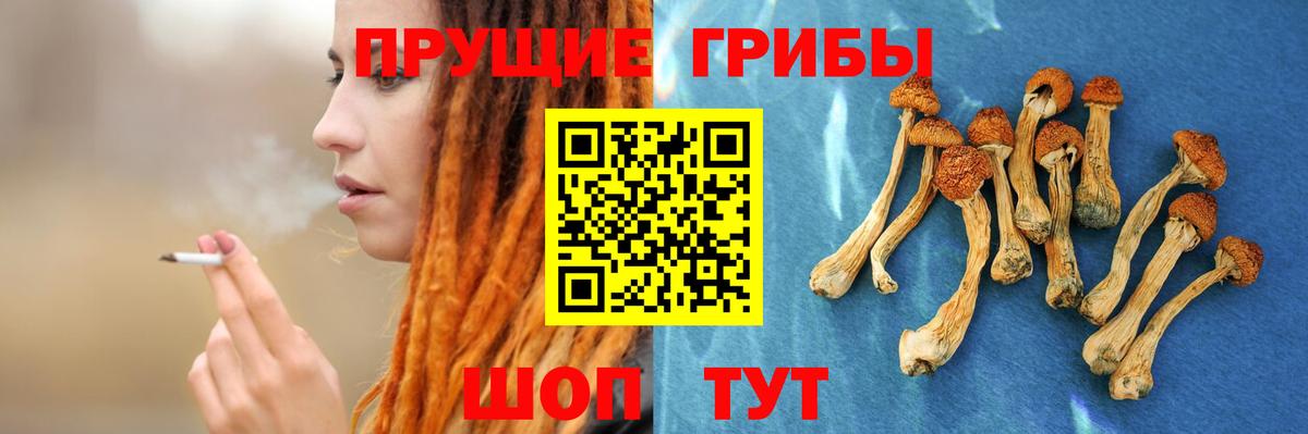 Галлюциногенные грибы GOLDEN TEACHER  Вход с VPN  Псилоцибиновые грибы MAGIC MUSHROOMS  Ярославль 